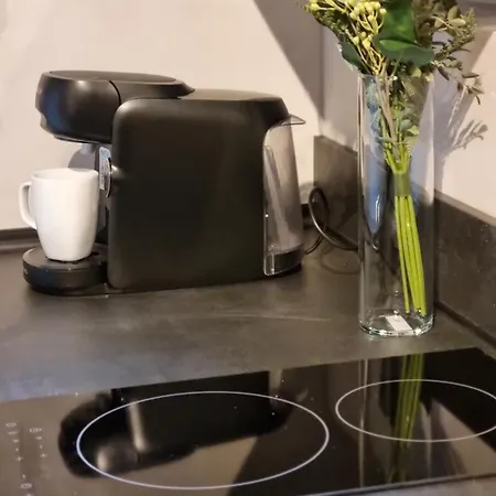 Im Zentrum Von Apartment